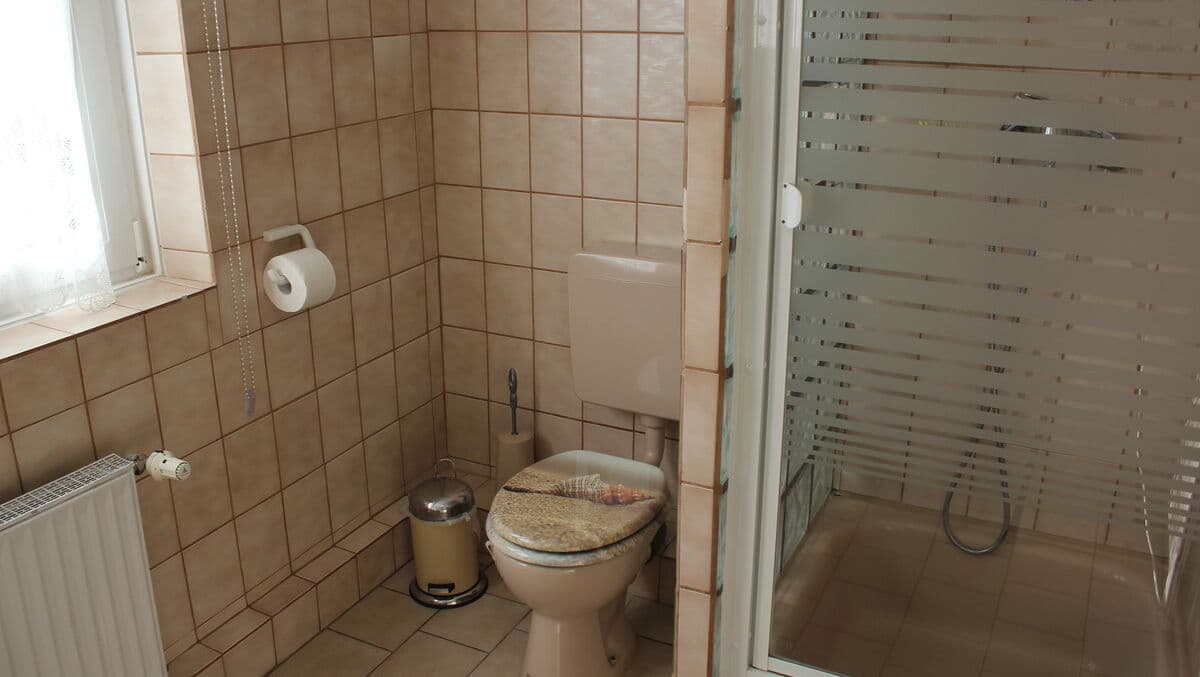 Seeblick Bild 8